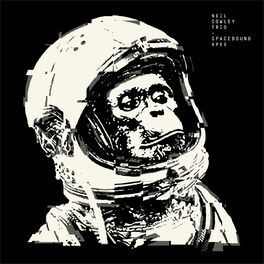 Album cover of Spacebound Apes