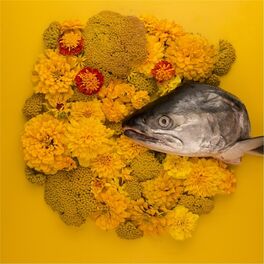 Album cover of Fish Eyes EP