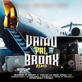 Album cover of Vamo Pal Bronx (Remix)