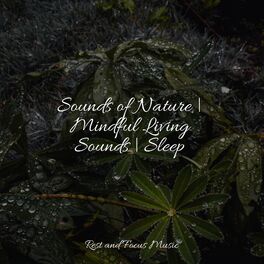 Album cover of Sounds of Nature | Mindful Living Sounds | Sleep