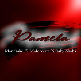 Album cover of Pamela