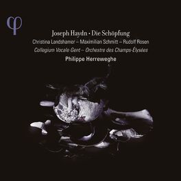 Album cover of Haydn: Die Schöpfung