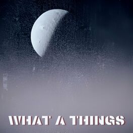 Album cover of What A Things