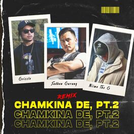 Album cover of Chamkina De, Pt.2 (Remix)