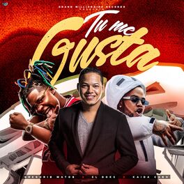 Album cover of Tu Me Gusta
