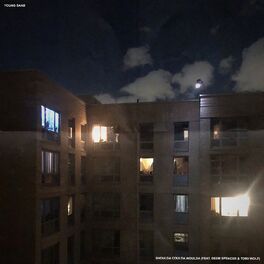 Album cover of shoulda coulda woulda (feat. Deem Spencer & Torii Wolf)