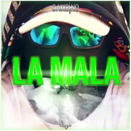 Album picture of La Mala