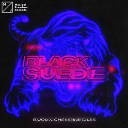 Album cover of Black Suede