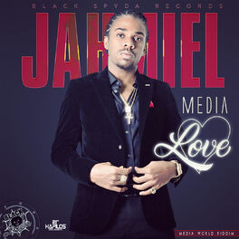 Album cover of Media Love