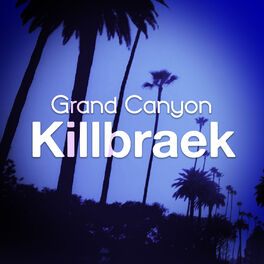 Album cover of Killbraek