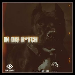 Album cover of In This Bitch (feat. Nitty)