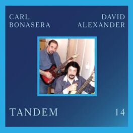 Album cover of Tandem 14