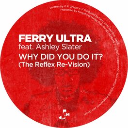 Album cover of Why Did You Do It (The Reflex Re-Vision)