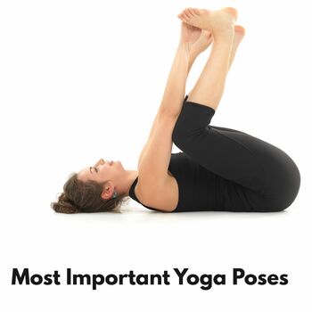 Lion Yoga Pose (Simhasana) - Guided Yoga - YouVeda