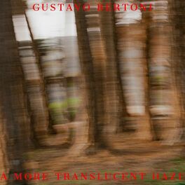 Gustavo Bertoni (Scalene) lança emocionante trilha para filme e fala ao  TMDQA! sobre nova fase com piano e letra em português