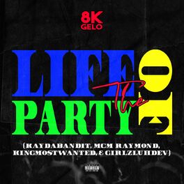 Album cover of Life of The Party