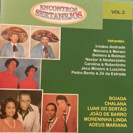 Album cover of Encontro Sertanejos Vol. 2