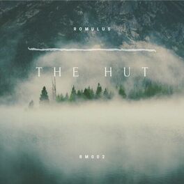 Album cover of The Hut (Original Mix)