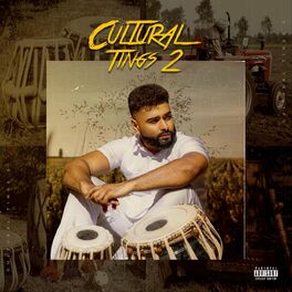 Album cover of Cultural Tings 2