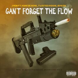 Album cover of Can't Forget the Flow (feat. Krayzie Bone & Twisted Insane)