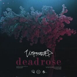 Album cover of Deadrose