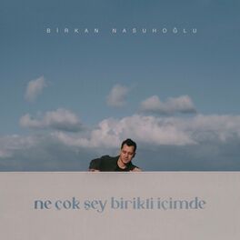 Album cover of ne çok şey birikti içimde