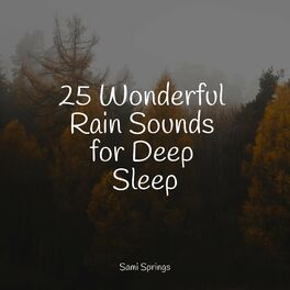 Album cover of 25 Wonderful Rain Sounds for Deep Sleep