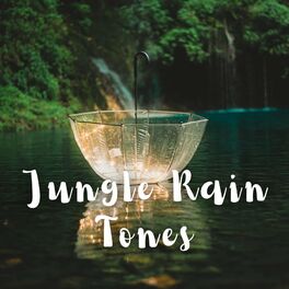 Album cover of Jungle Rain Tones