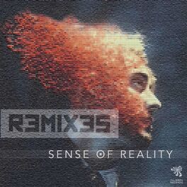 Album cover of Sense of Reality Remixes