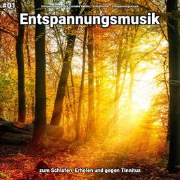 Album cover of #01 Entspannungsmusik zum Schlafen, Erholen und gegen Tinnitus