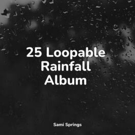 Album cover of 25 Loopable Rainfall Album