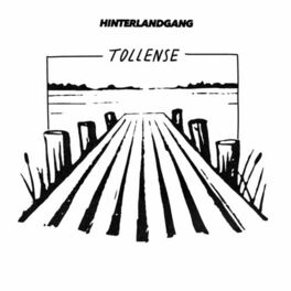 Album cover of Tollense