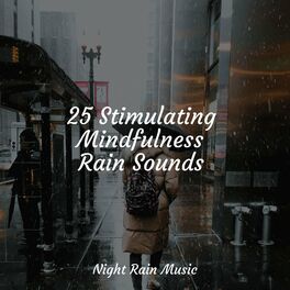 Album cover of 25 Stimulating Mindfulness Rain Sounds