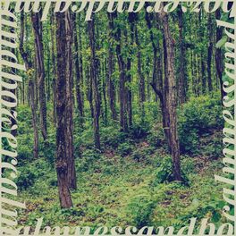 Album cover of Calmness and Power