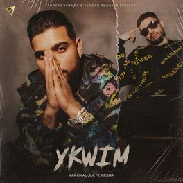 Album cover of Ykwim