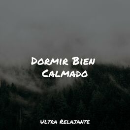 Album cover of Dormir Bien Calmado