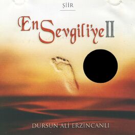 Album cover of En Sevgiliye 2