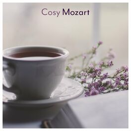 Album cover of Cosy Mozart