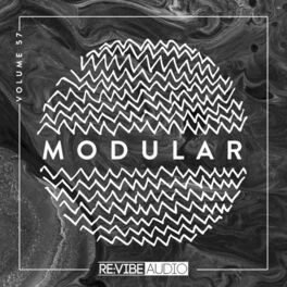 Album cover of Modular, Vol. 57