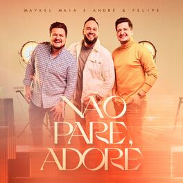 Album cover of Não Pare, Adore (feat. André e Felipe)