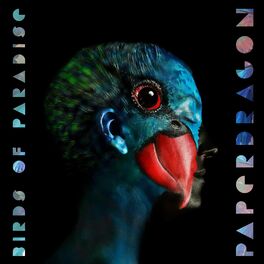 Album cover of Birds of Paradise