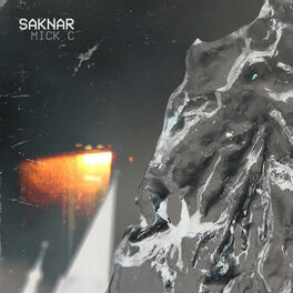 Album cover of Saknar
