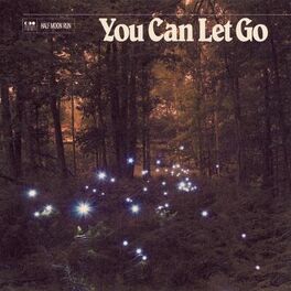 Album cover of You Can Let Go