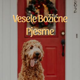 Album cover of Vesele Božićne Pjesme
