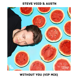 Album cover of Without You (VIP Mix)