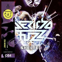 Album cover of Shelter