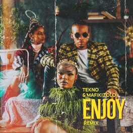 Album cover of Enjoy (Remix)