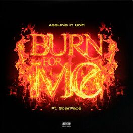 Album cover of Burn For Me (feat. Scarface)