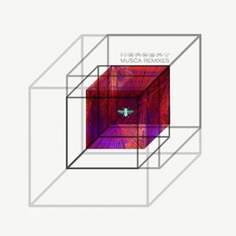 Album cover of Musca (Remixes)