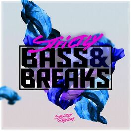 Album cover of Strictly Bass & Breaks